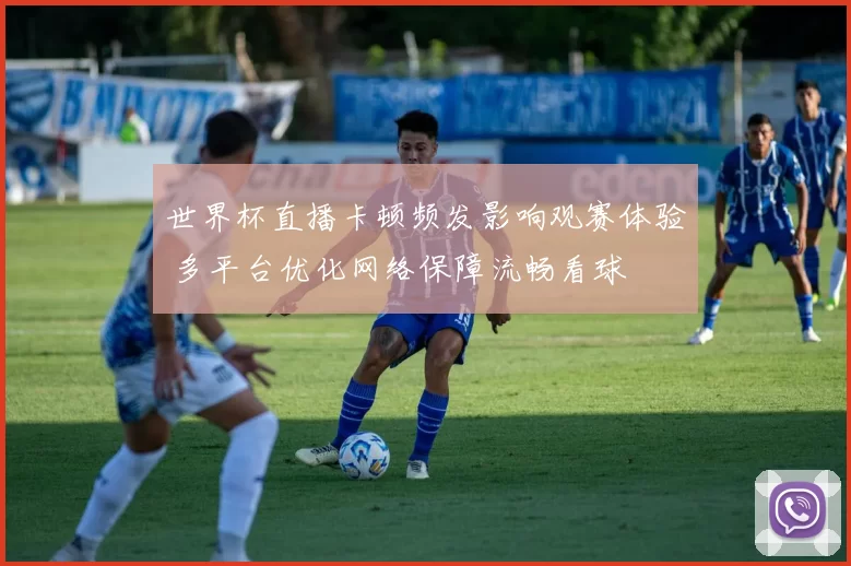世界杯直播卡顿频发影响观赛体验 多平台优化网络保障流畅看球
